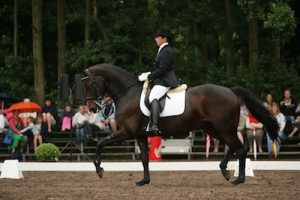 Ruby-RKOM2010_2